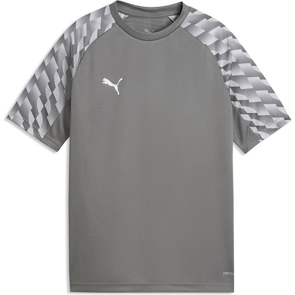 Puma Teamliga Maillot Manches Courtes Enfants - Gris