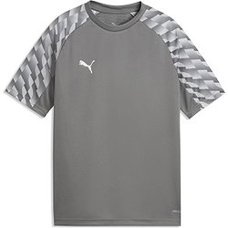 Présentation: Puma Teamliga Maillot Manches Courtes Enfants - Gris