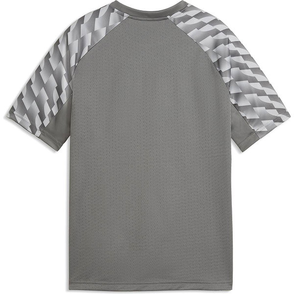 Puma Teamliga Maillot Manches Courtes Enfants - Gris