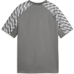 Présentation: Puma Teamliga Maillot Manches Courtes Enfants - Gris