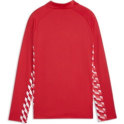 Présentation: Puma Teamliga Veste D'entraînement Enfants - Rouge