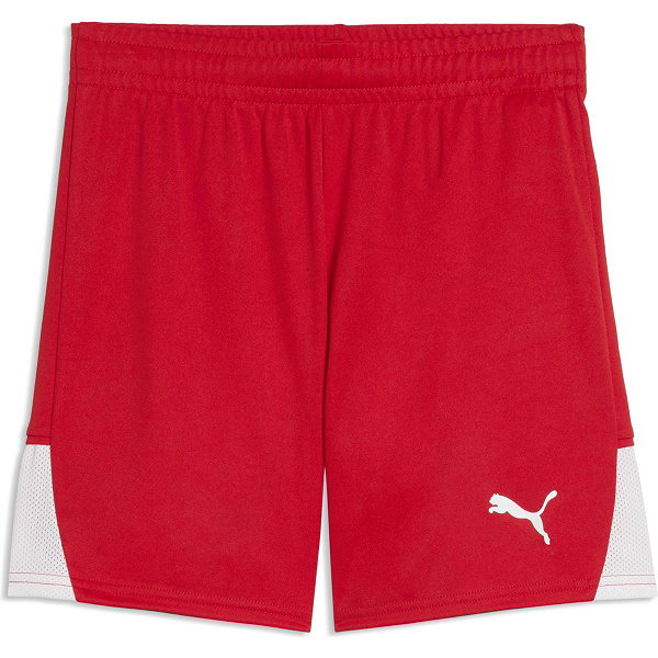 Puma Teamfinal Shorts Kinder - Rot