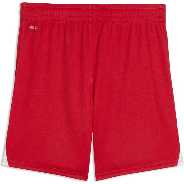 Puma Teamfinal Shorts Kinder - Rot