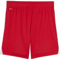 Vorschau: Puma Teamfinal Shorts Kinder - Rot