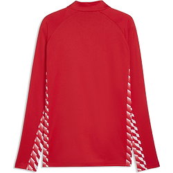 Présentation: Puma Teamliga Veste D'entraînement Hommes - Rouge