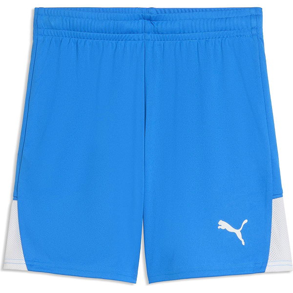 Puma Teamfinal Shorts Kinder - Royal