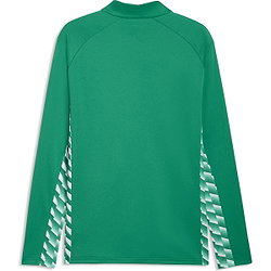Présentation: Puma Teamliga Veste D'entraînement Hommes - Vert