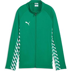Présentation: Puma Teamliga Veste D'entraînement Enfants - Vert