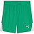 Puma Teamfinal Shorts Kinder - Grün