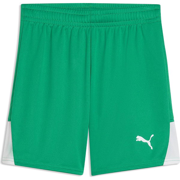 Puma Teamfinal Short Enfants - Vert