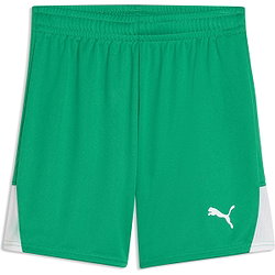 Puma Teamfinal Shorts Kinder - Grün