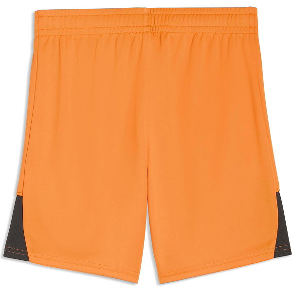 Puma Teamfinal Shorts Kinder - Orange