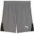 Puma Teamfinal Shorts Kinder - Grau
