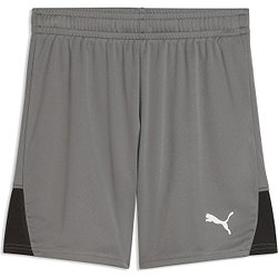 Puma Teamfinal Shorts Kinder - Grau