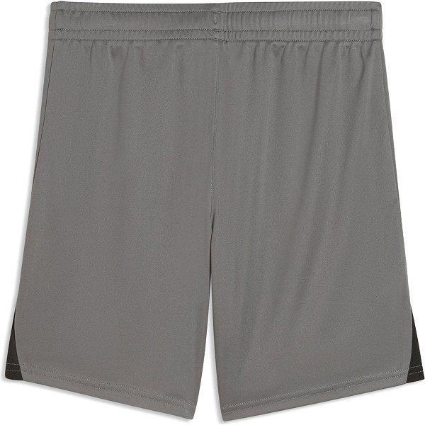 Puma Teamfinal Short Kinderen - Grijs