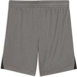 Voorvertoning: Puma Teamfinal Short Kinderen - Grijs