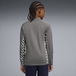 Présentation: Puma Teamliga Veste D'entraînement Enfants - Gris