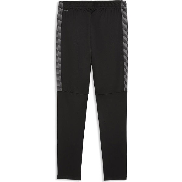 Puma Teamliga Pantalon D‘Entraînement Hommes - Noir