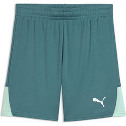 Puma Teamfinal Short Kinderen - Emerald