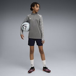 Présentation: Puma Teamliga Ziptop Enfants - Gris