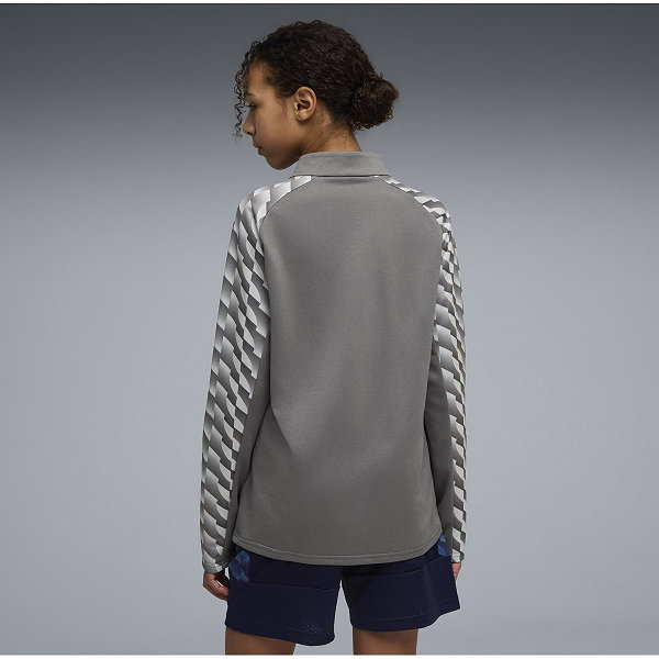 Puma Teamliga Ziptop Enfants - Gris