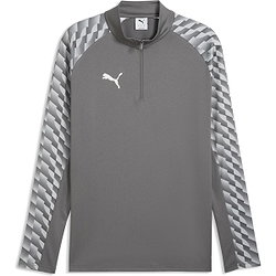 Puma Teamliga Ziptop Hommes - Gris