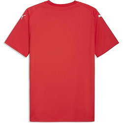 Présentation: Puma Teamfinal Graphic Maillot Manches Courtes Hommes - Rouge / Blanc