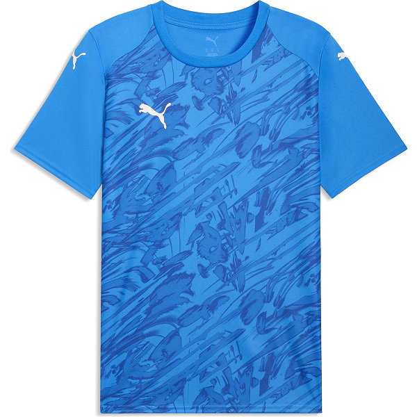 Puma Teamfinal Graphic Trikot Kurzarm Herren - Royal / Gelb