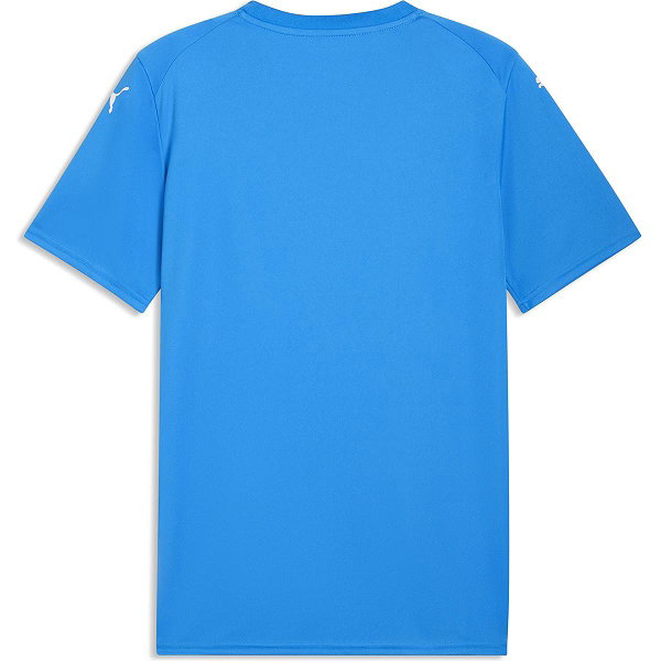 Puma Teamfinal Graphic Trikot Kurzarm Herren - Royal / Gelb