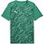 Puma Teamfinal Graphic Trikot Kurzarm Herren - Grün