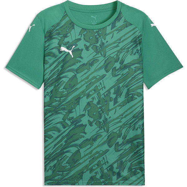 Puma Teamfinal Graphic Trikot Kurzarm Herren - Grün