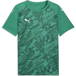 Puma Teamfinal Graphic Trikot Kurzarm Herren - Grün