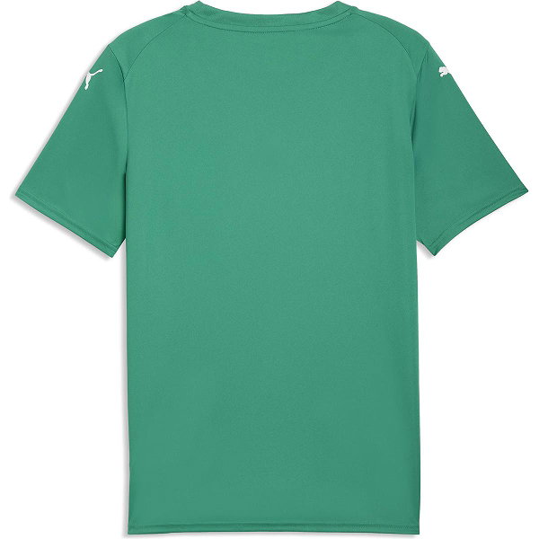 Puma Teamfinal Graphic Trikot Kurzarm Herren - Grün