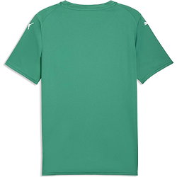 Vorschau: Puma Teamfinal Graphic Trikot Kurzarm Herren - Grün