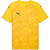 Puma Teamfinal Graphic Trikot Kurzarm Herren - Gelb