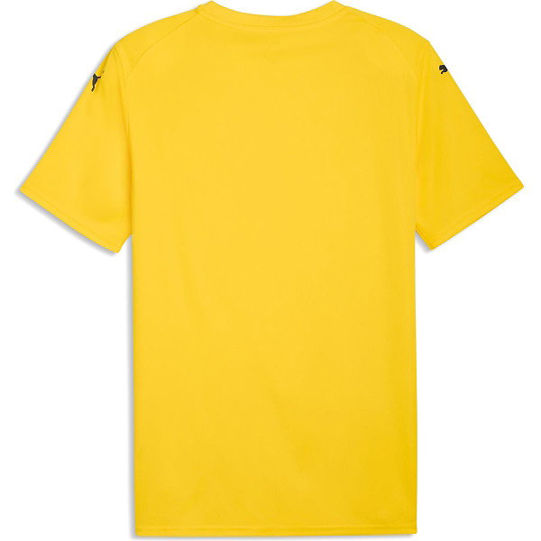 Puma Teamfinal Graphic Trikot Kurzarm Herren - Gelb