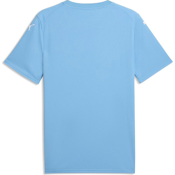 Puma Teamfinal Graphic Shirt Korte Mouw Heren - Hemelsblauw