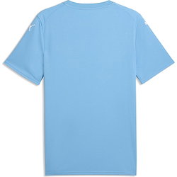 Voorvertoning: Puma Teamfinal Graphic Shirt Korte Mouw Heren - Hemelsblauw