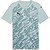 Puma Teamfinal Graphic Trikot Kurzarm Herren - Mint