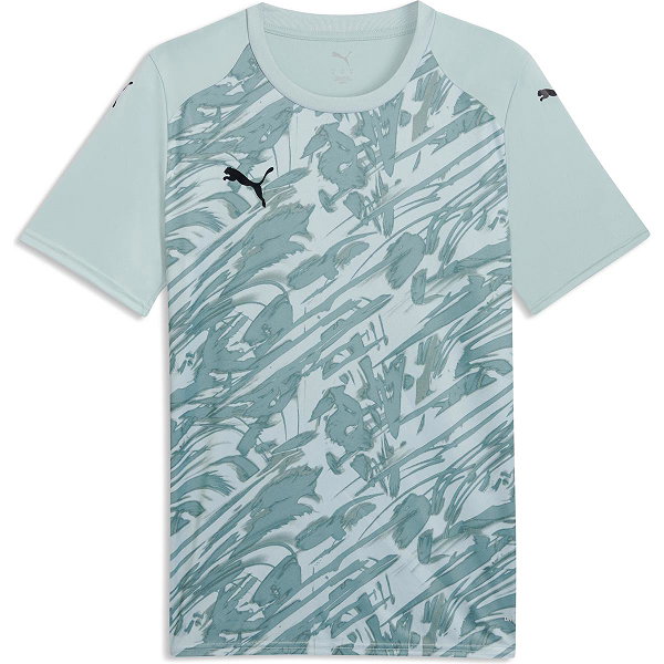 Puma Teamfinal Graphic Trikot Kurzarm Herren - Mint