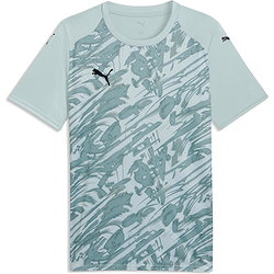 Puma Teamfinal Graphic Shirt Korte Mouw Heren - Munt