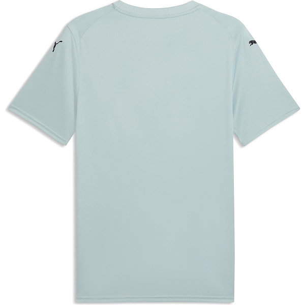 Puma Teamfinal Graphic Trikot Kurzarm Herren - Mint