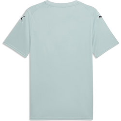 Vorschau: Puma Teamfinal Graphic Trikot Kurzarm Herren - Mint