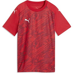 Puma Teamfinal Graphic Trikot Kurzarm Kinder - Rot