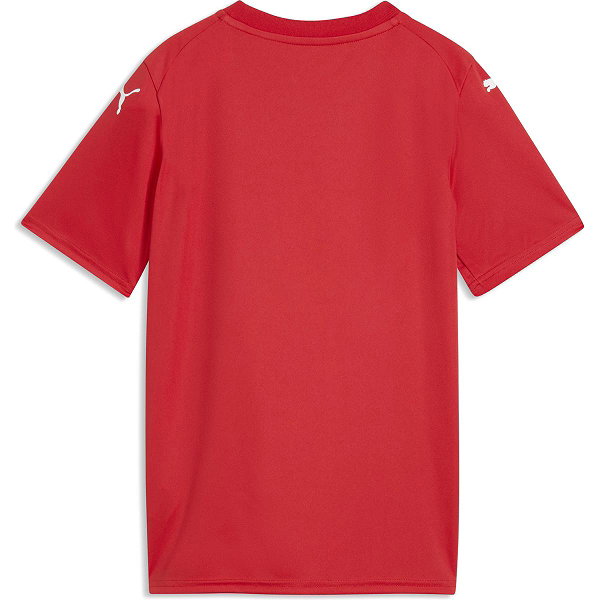 Puma Teamfinal Graphic Trikot Kurzarm Kinder - Rot