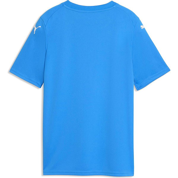 Puma Teamfinal Graphic Maillot Manches Courtes Enfants - Royal