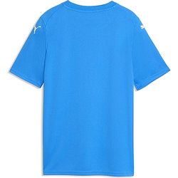 Présentation: Puma Teamfinal Graphic Maillot Manches Courtes Enfants - Royal