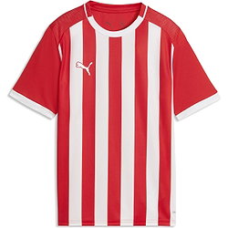 Puma Teamliga Striped Trikot Kurzarm Kinder - Rot / Weiß