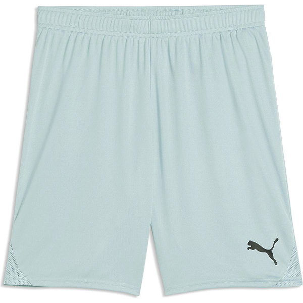 Puma Teamgoal Shorts Herren - Mint