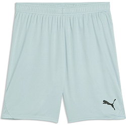 Puma Teamgoal Short Heren - Munt